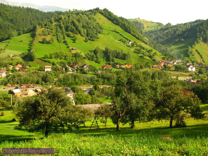 2008-09-01 15-59-32.JPG - 2008-RO>Ri Rucar